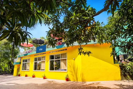 Main